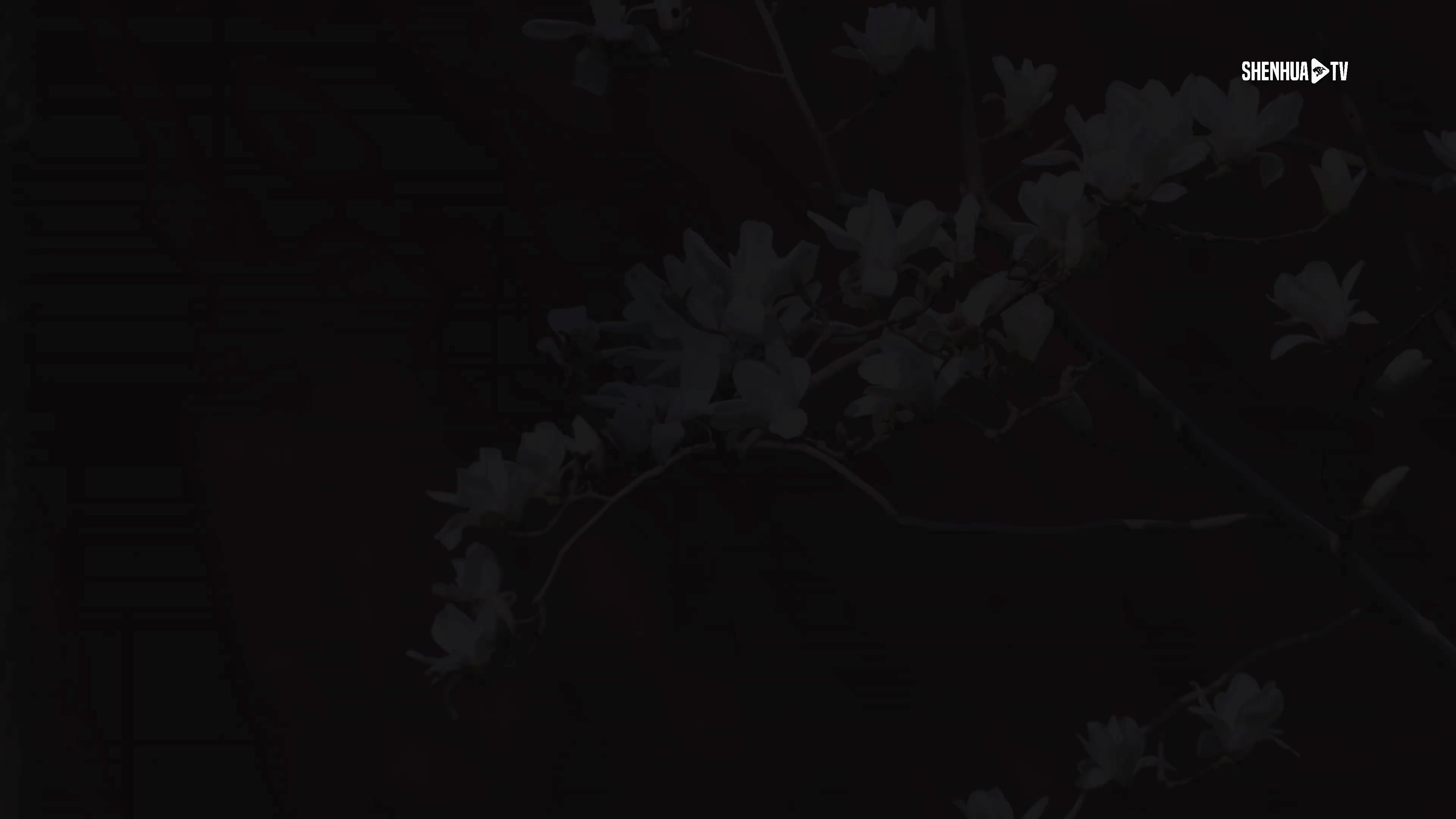 2026中超联赛第3轮北京国安1-1上海申花 Match Day比赛日纪实