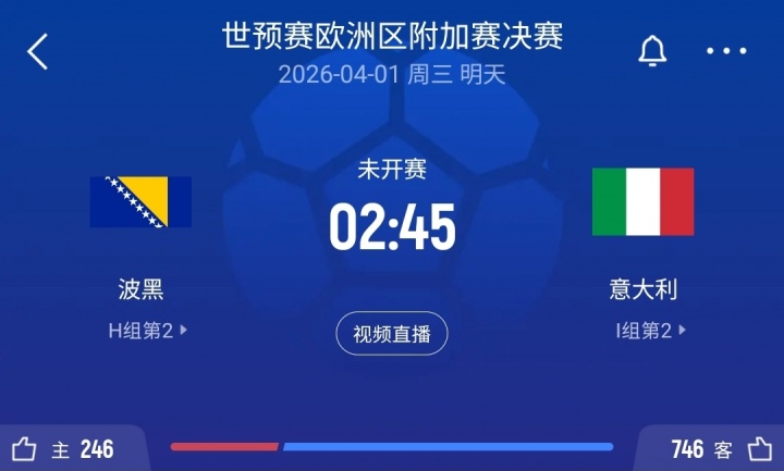 关乎世界杯席位！波黑vs意大利无门线技术，因球场未安装相关设备
