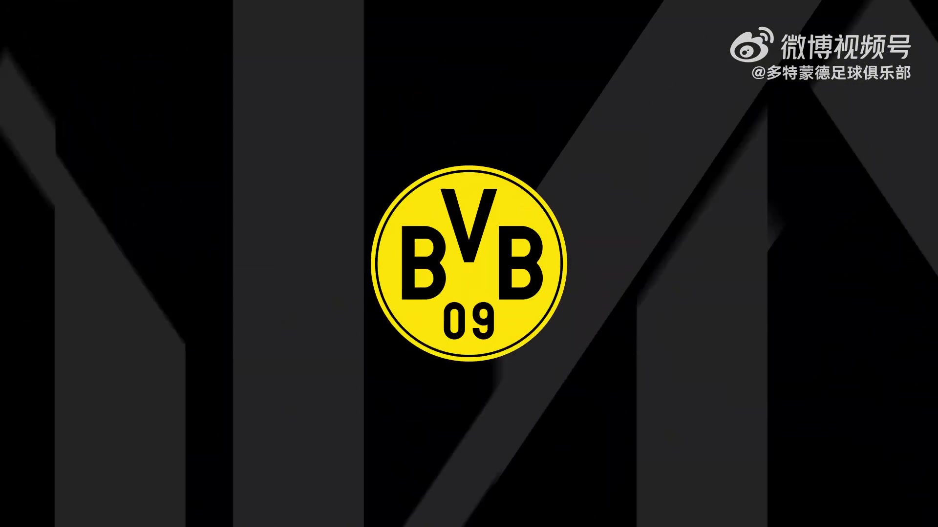 樊振东与波尔到访多特+踢球        </div>
        <div class=